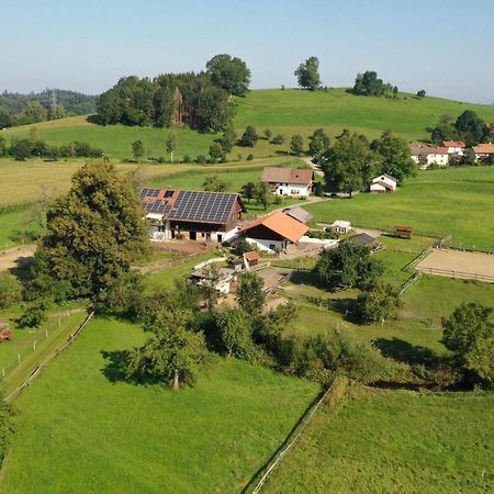 דירות Wangen im Allgäu Carlo מראה חיצוני תמונה