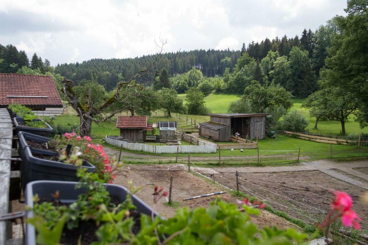 דירות Wangen im Allgäu Carlo מראה חיצוני תמונה