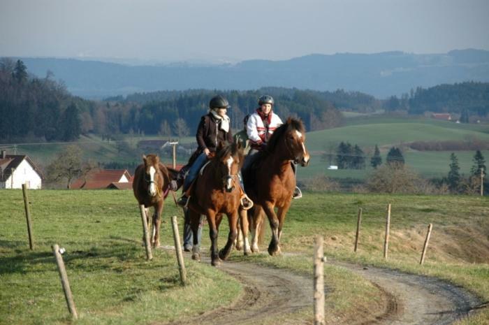 דירות Wangen im Allgäu Carlo מראה חיצוני תמונה